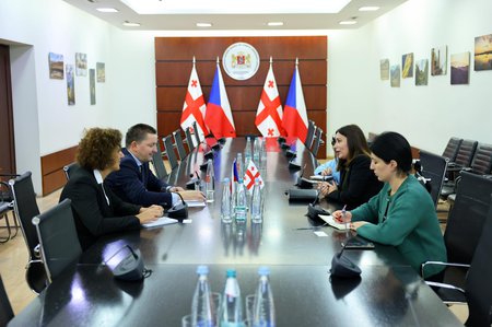 ნინო თანდილაშვილი ჩეხეთის რესპუბლიკის რეგიონული განვითარების მინისტრის მოადგილეს შეხვდა