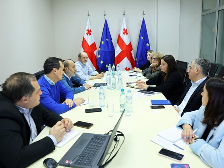 ნინო თანდილაშვილმა USAID-ის წარმომადგენლებთან გამართულ შეხვედრაზე სამხრეთ კავკასიის რეგიონში  დაგეგმილი პროგრამები განიხილა