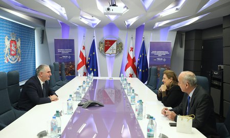 ფინანსთა მინისტრი ლაშა ხუციშვილი უნგრეთის საგანგებო და სრულუფლებიან ელჩს საქართველოში, ანა მარია შიკოს შეხვდა
