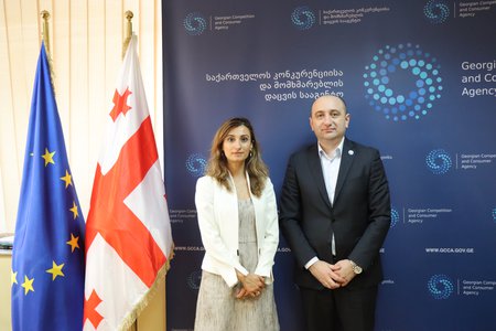 მომხმარებლის დაცვის  ეროვნული სტრატეგიის მმართველი კომიტეტის სხდომა გაიმართა
