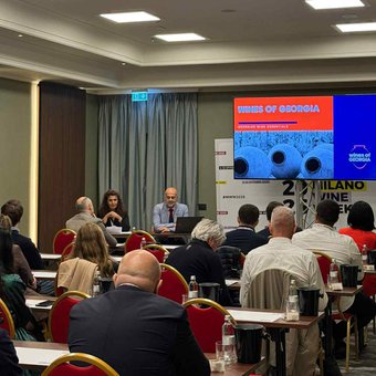 მილანის ღვინის კვირეულის ფარგლებში, ქართულ ღვინის წარდგენის ღონისძიებები გაიმართა