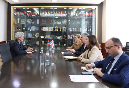 ოთარ შამუგია საქართველოში ნორვეგიის სამეფოს საგანგებო და სრულუფლებიან ელჩს შეხვდა