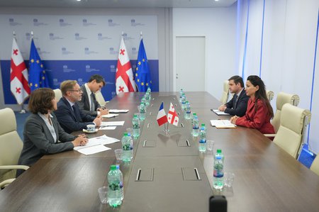 მარიამ ქვრივიშვილმა საფრანგეთის ელჩთან გაცნობითი ხასიათის შეხვედრა გამართა