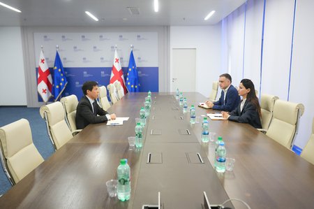 მარიამ ქვრივიშვილმა საერთაშორისო სავალუტო ფონდის მუდმივ წარმომადგენელთან საქართველოს ეკონომიკური მაჩვენებლები განიხილა