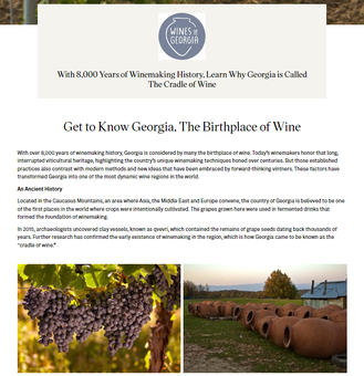 ამერიკული   ჟურნალი   Wine   Enthusiast:   „თანამედროვე   და   ტრადიციული ტექნოლოგიების   ერთობლიობა   საქართველოს   გამოარჩევს   მსოფლიოს   დანარჩენი ღვინის რეგიონებისგან და აქცევს მას განსაკუთრებულად მიმზიდველ ქვეყნად“